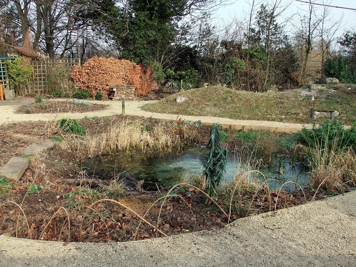 Een kleine natuurlijke tuinvijver met begroeide oevers, riet en waterplanten in een natuurtuin.