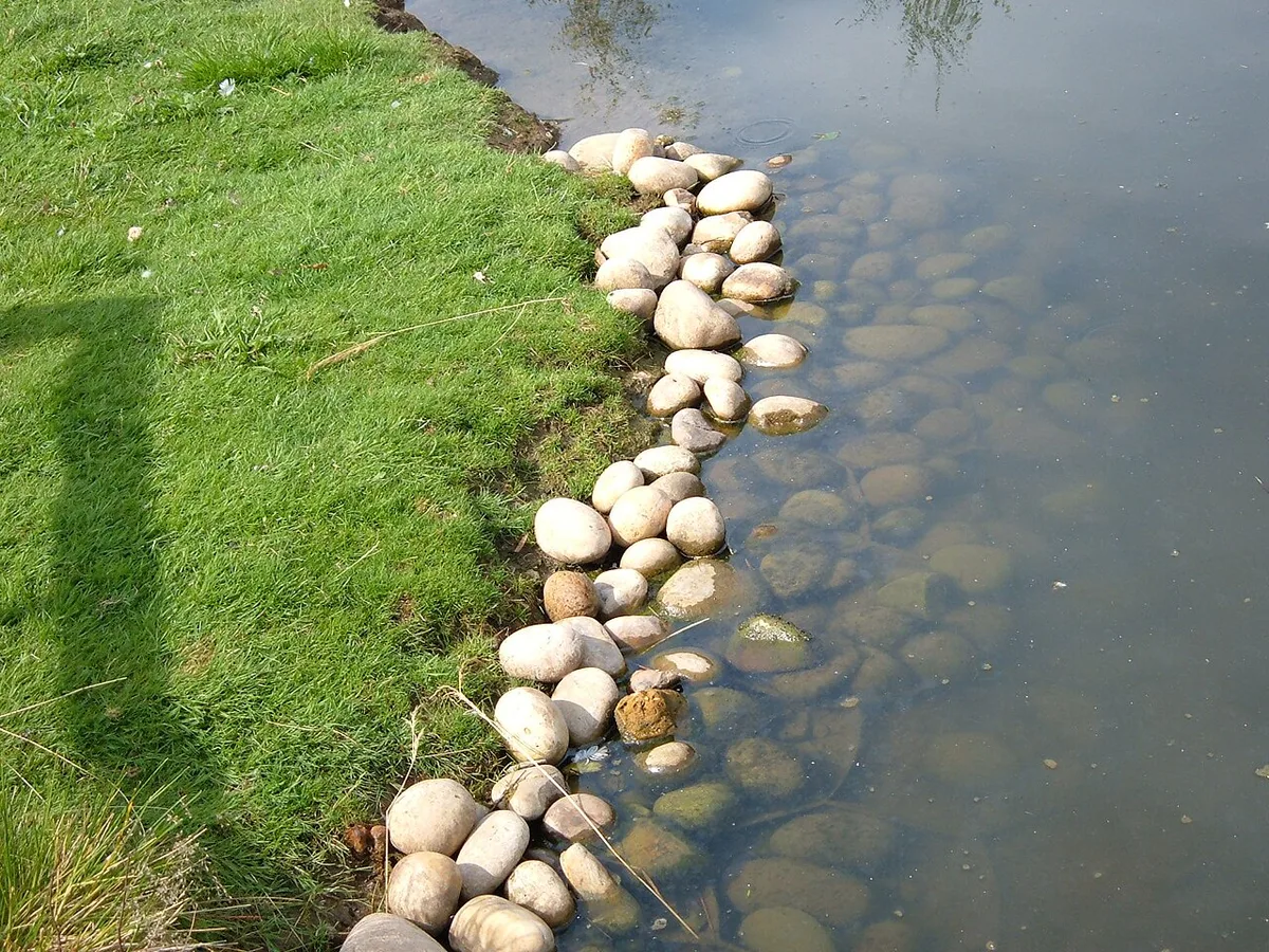 Ronde keien liggen in een rij langs de rand van een vijver, half in het water en half op het gras.